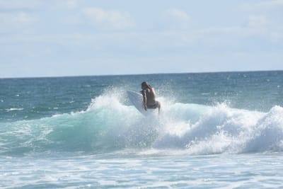 DSC_2278.JPG