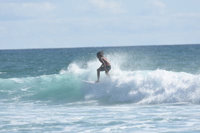 DSC_2280.JPG
