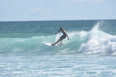 DSC_2288.JPG