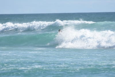 DSC_2291.JPG