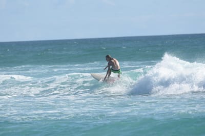 DSC_2310.JPG
