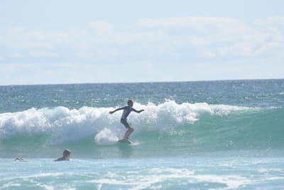 DSC_2317.JPG