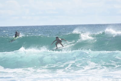 DSC_2327.JPG
