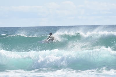 DSC_2331.JPG