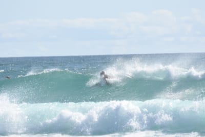 DSC_2333.JPG