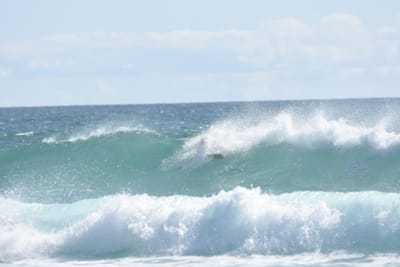 DSC_2334.JPG