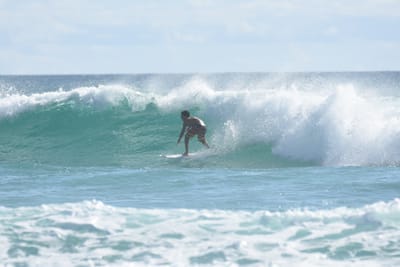 DSC_2353.JPG