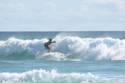 DSC_2355.JPG