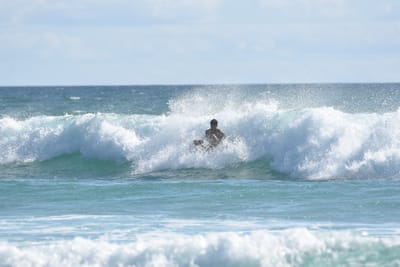 DSC_2362.JPG