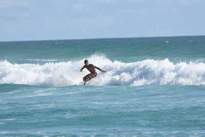 DSC_2366.JPG