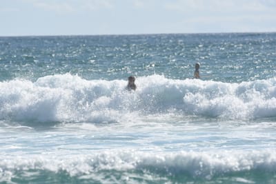 DSC_2379.JPG