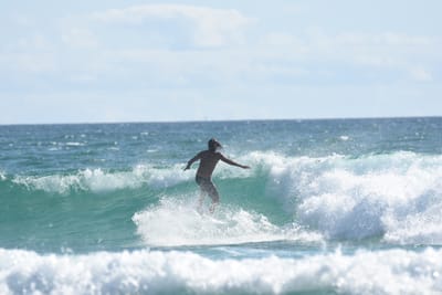 DSC_2392.JPG
