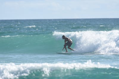 DSC_2398.JPG
