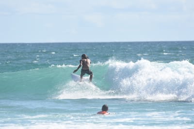 DSC_2405.JPG