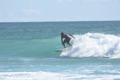 DSC_2410.JPG