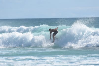 DSC_2419.JPG