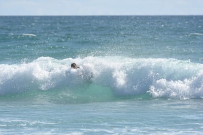 DSC_2429.JPG