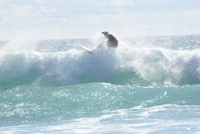 DSC_2434.JPG
