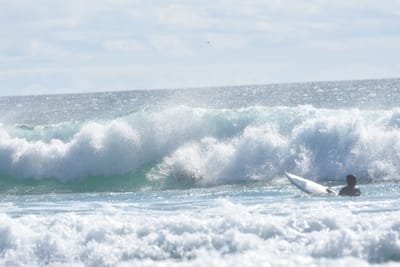 DSC_2435.JPG