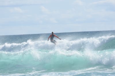 DSC_2446.JPG