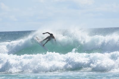 DSC_2449.JPG