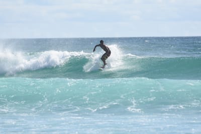 DSC_2450.JPG