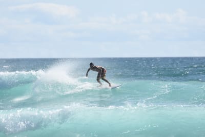 DSC_2454.JPG