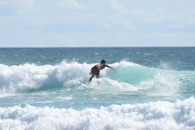DSC_2463.JPG
