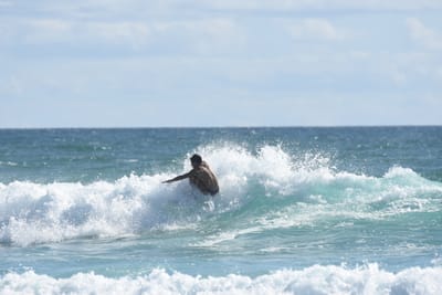 DSC_2468.JPG