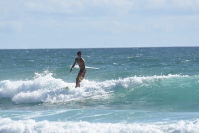 DSC_2470.JPG