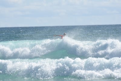 DSC_2474.JPG