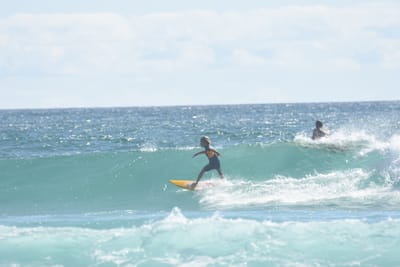 DSC_2479.JPG