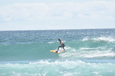 DSC_2480.JPG