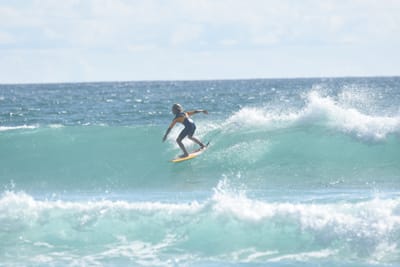DSC_2486.JPG