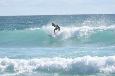DSC_2501.JPG