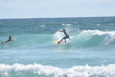DSC_2505.JPG