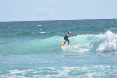 DSC_2514.JPG