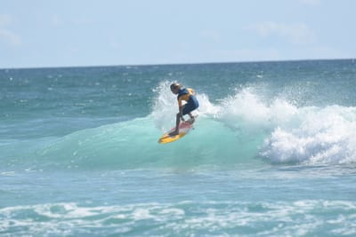 DSC_2519.JPG