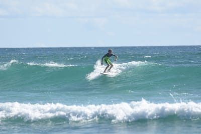 DSC_2528.JPG