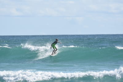 DSC_2529.JPG