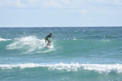 DSC_2530.JPG