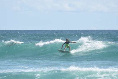 DSC_2533.JPG