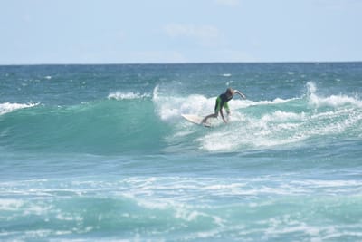 DSC_2537.JPG