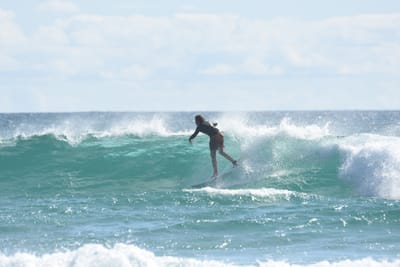 DSC_2559.JPG