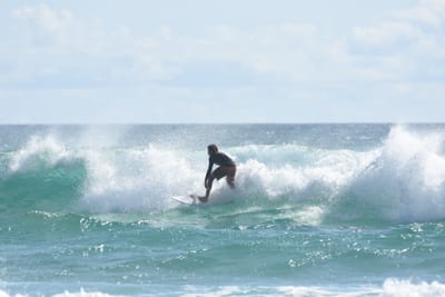 DSC_2563.JPG