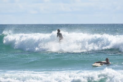 DSC_2564.JPG