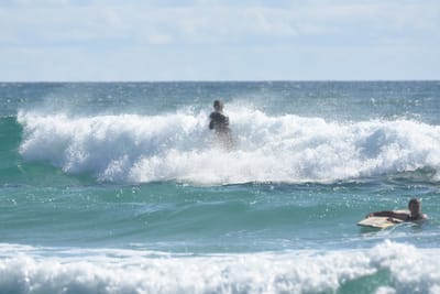 DSC_2565.JPG