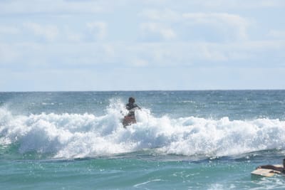 DSC_2566.JPG