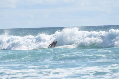 DSC_2569.JPG