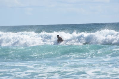 DSC_2575.JPG